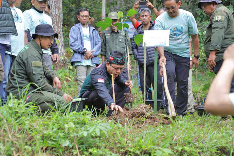 Pemkab Bandung tanam 30.000 Pohon untuk Jaga Lingkungan