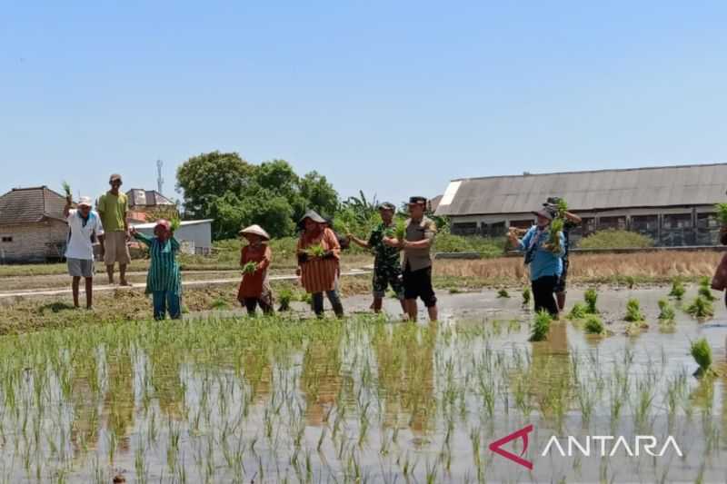 Pemkab Bangkalan bantu petani ratusan pompa air