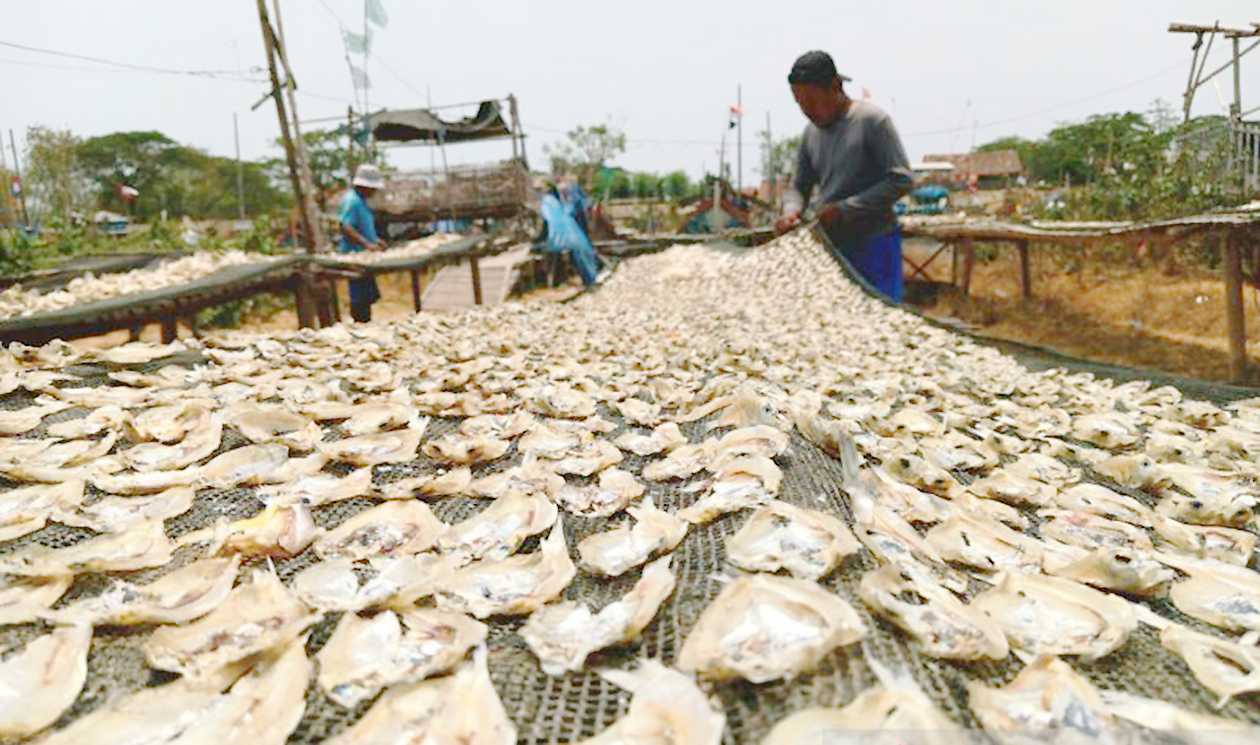 Pemkab: Indramayu Produsen Perikanan Terbesar di Jawa Barat