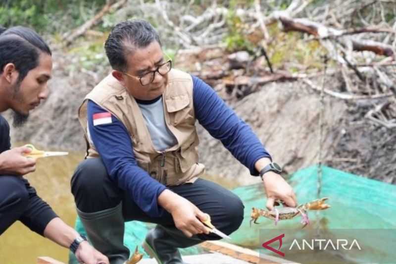 Pemkab Kalimantan Timur Ajak Masyarakat Terlibat Restorasi Ekosistem