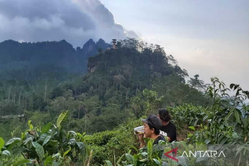 Pemkab Kulon Progo percepat pembangunan kawasan aerotropolis