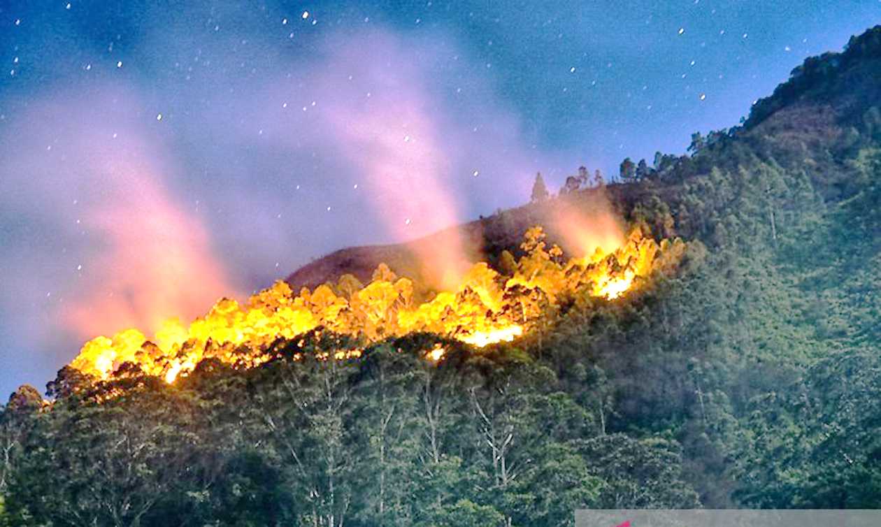 Pemkab Lombok Minta Warga Tidak Buka Lahan dengan Cara Membakar