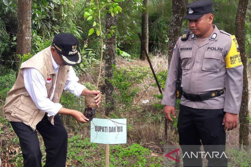 Pemkab Temanggung Hijaukan lereng Gunung Sindoro