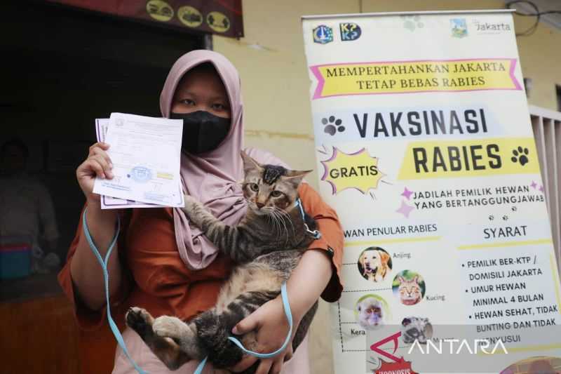 Pemkot Jakpus Beri Vaksin 2.546 Hewan Penular Rabies