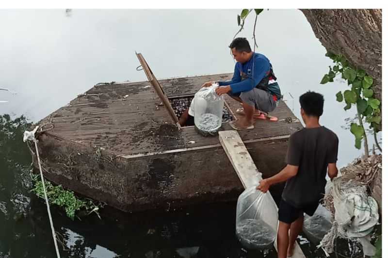 Pemkot Mataram Distribusi Bantuan Bibit Ikan Nila