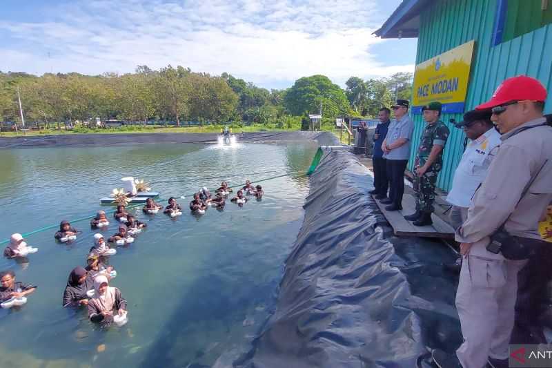 Pemkot Sorong tebar ribuan benih udang vaname di Politeknik Sorong