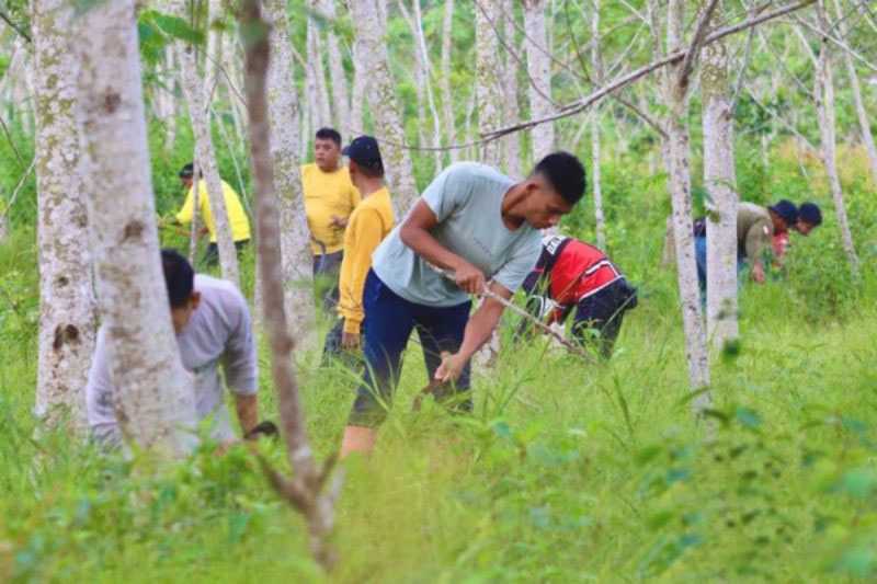 Pemprov Kalsel Ganti Pepohonan Mati Melalui Gerakan Revolusi Hijau