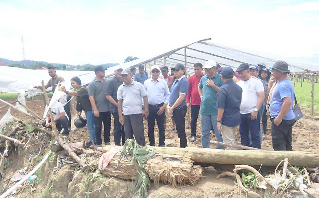Pemprov Maluku Ganti Tanaman Warga Terdampak Banjir