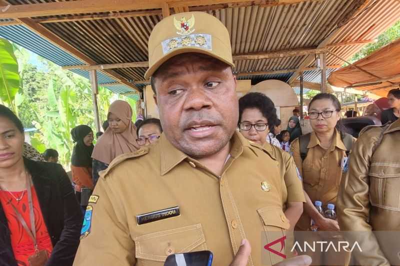 Pemprov Papua Barat Diminta Tetapkan Manokwari Jadi Sentra Pengembangan Sapi