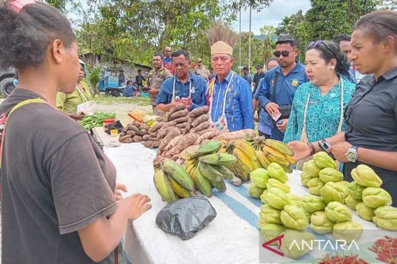 Pemprov Papua Gencar Kembangkan Komoditas Unggulan