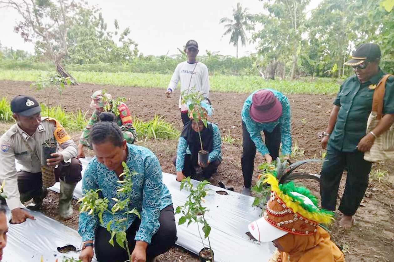 Pemprov Papua: Sensus Pertanian 2023 Dijadikan Pedoman Perumusan Kebijakan