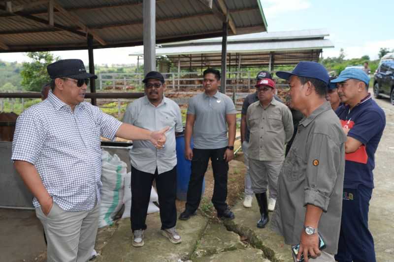 Pemprov Sulbar Jadikan Desa Beroangin sebagai Sentra Pengembangan Sapi