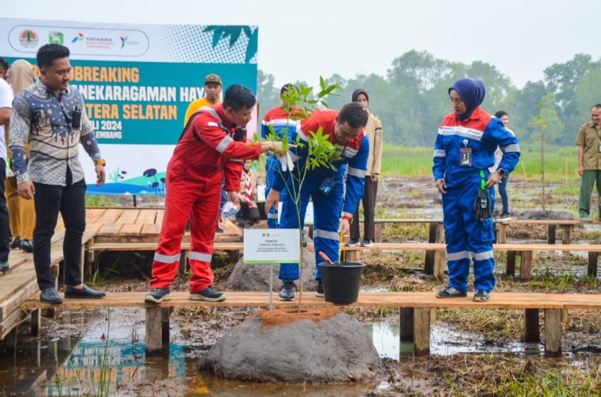 Pemprov Sumsel dan Kilang Pertamina Plaju Sinergi Bangun Taman Rawa di Kawasan Jakabaring, Tanam 55 Spesies Pohon Langka