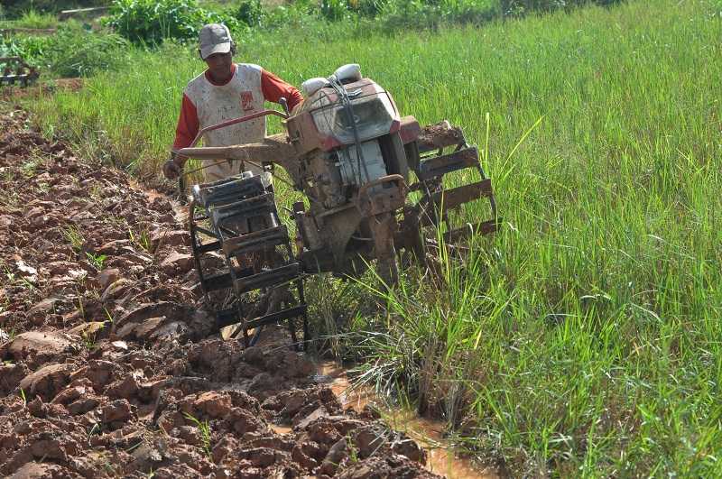 Pemutihan Utang Petani Masih Dibahas Bersama Pihak Terkait