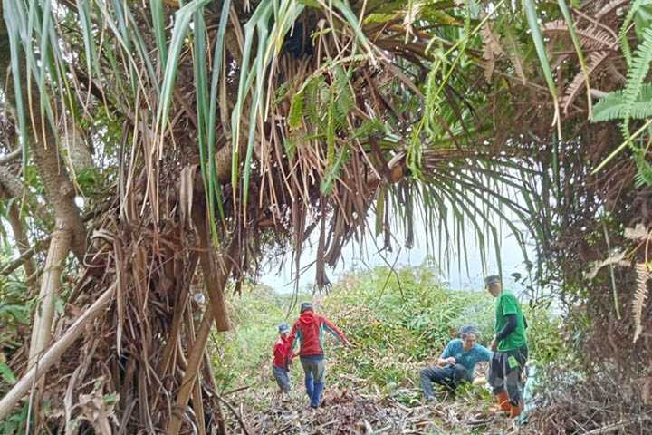 Pencinta Alam Perbaiki Jalur Pendakian Bukit Kaba Rejang Lebong