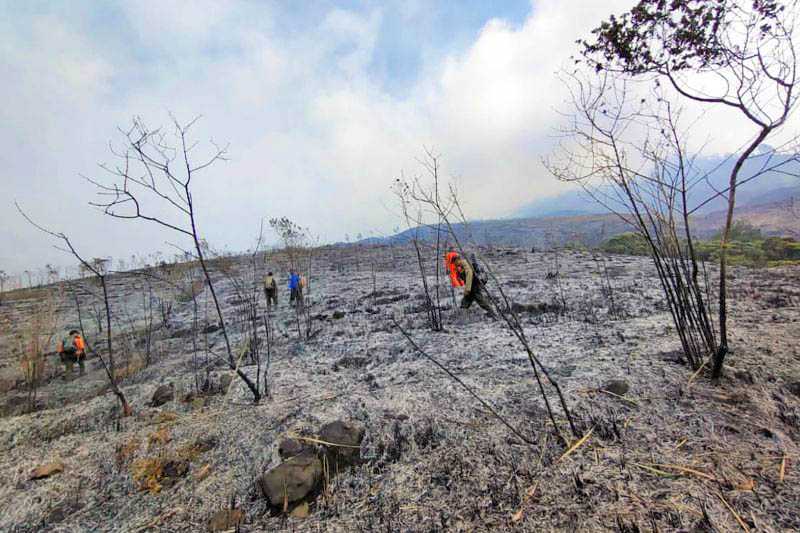 Pendakian Gunung Arjuno Ditutup Akibat Kebakaran Hutan