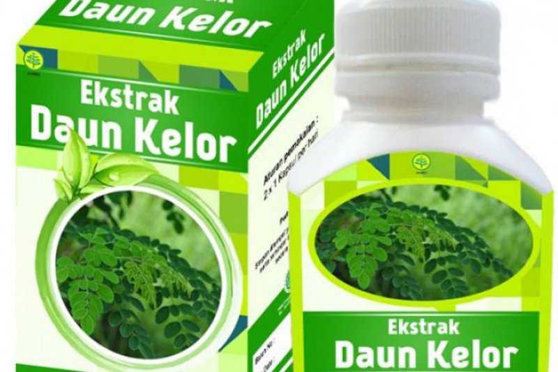 Peneliti BRIN Ungkap Ragam Manfaat Kelor Bagi Tubuh