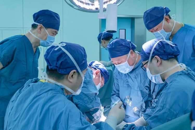 Peneliti Tiongkok Berhasil Transplantasi Ginjal Babi ke Tubuh Manusia