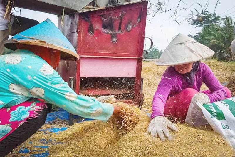 Pengamat: Lahan dan Teknologi jadi Tantangan Kedaulatan Pangan