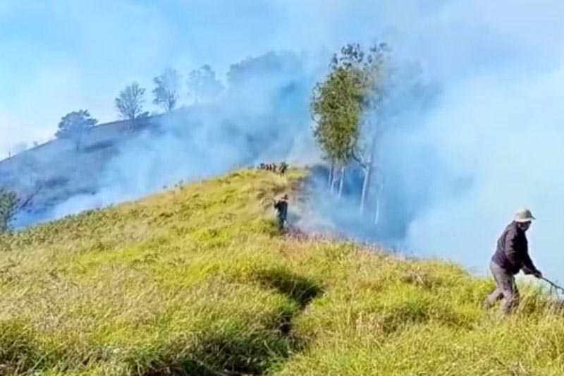 Pengelola TNGR Turunkan Petugas untuk Padamkan Kebakaran Hutan