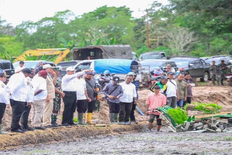 Pengembangan Merauke Jadi Lumbung Pangan di Kawasan Timur Indonesia Dipercepat