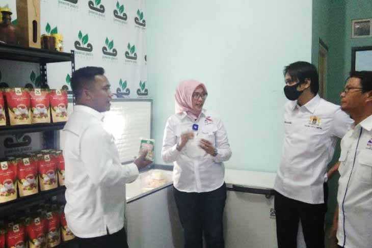 Pengembangan Usaha Kadin Depok Bantu Promosi UMKM