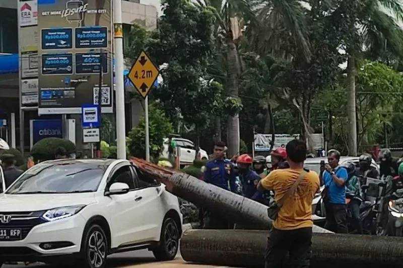 Pengendara Motor Meninggal Tertimpa Pohon di Pondok Indah