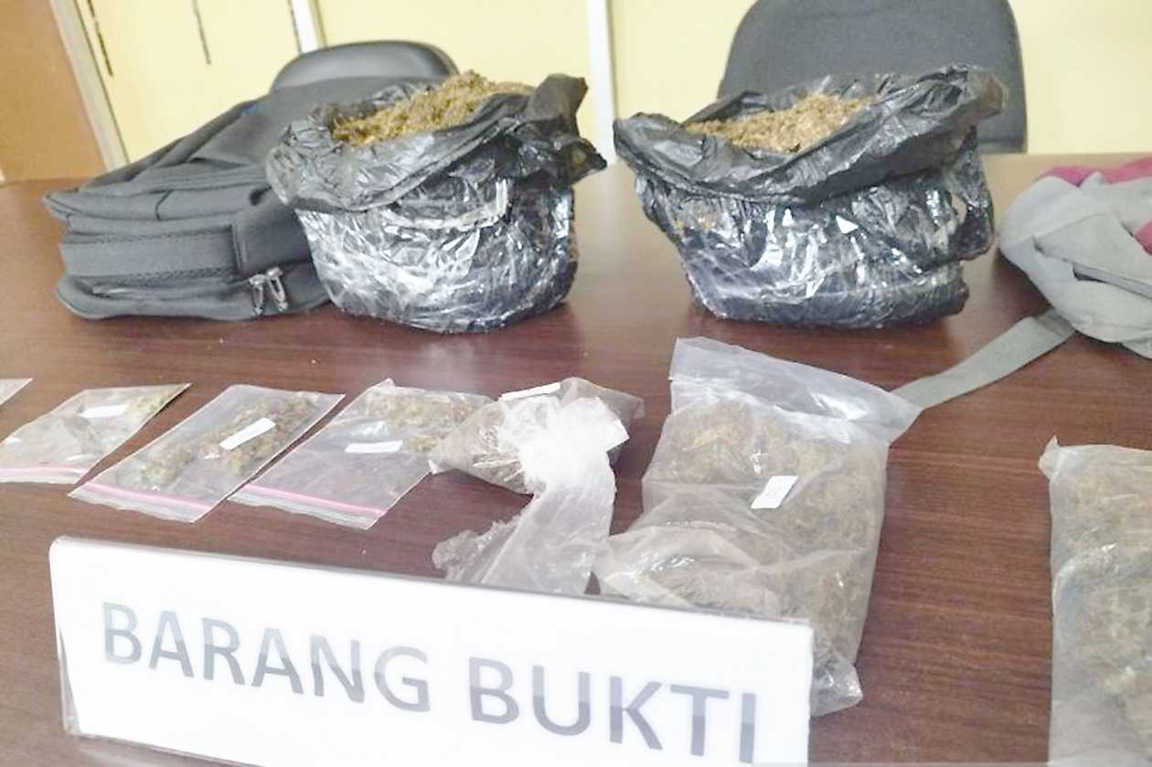 Pengiriman 1,7 Kilogram Ganja ke Sorong Digagalkan Polda Papua Barat