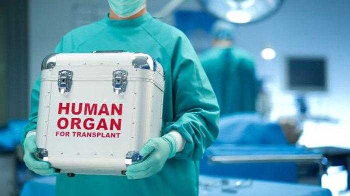 Penjualan Organ Manusia Internasional Terungkap, Desainer Terkenal Asal Indonesia Diduga Membeli Organ Tubuh Manusia dari Brasil