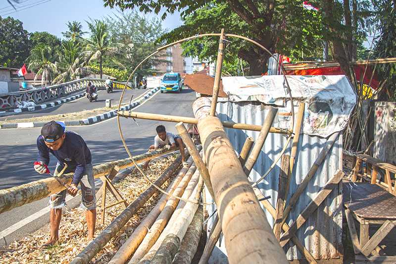 Penjualan Pohon Pinang untuk Dipanjat