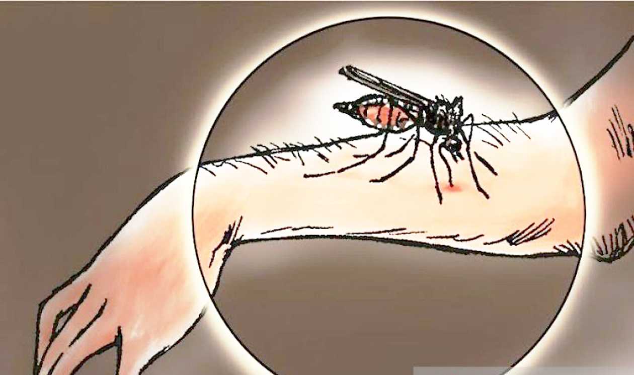 Penting! Perlu Perubahan Skala Besar untuk Hapus Malaria