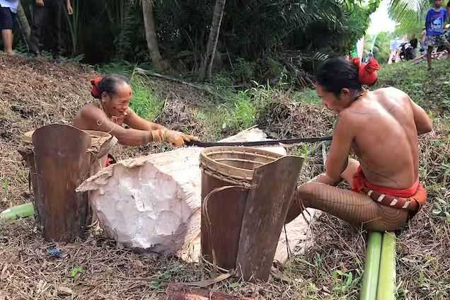 Pentingnya Merawat Sistem Pangan Lokal Hadapi El Nino dan Cuaca Ekstrem