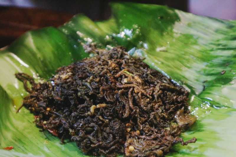 Pepes Cacing Laut, Kuliner Khas Lombok yang Cuma Ada Setahun Sekali
