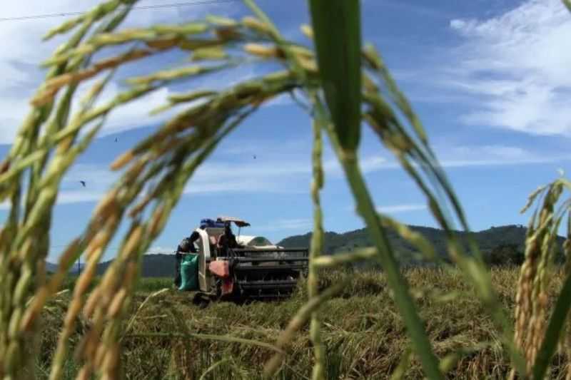 Percepat Pemberdayaan Petani, Maluku Salah Satu Provinsi Penerima Alsintan Terbesar