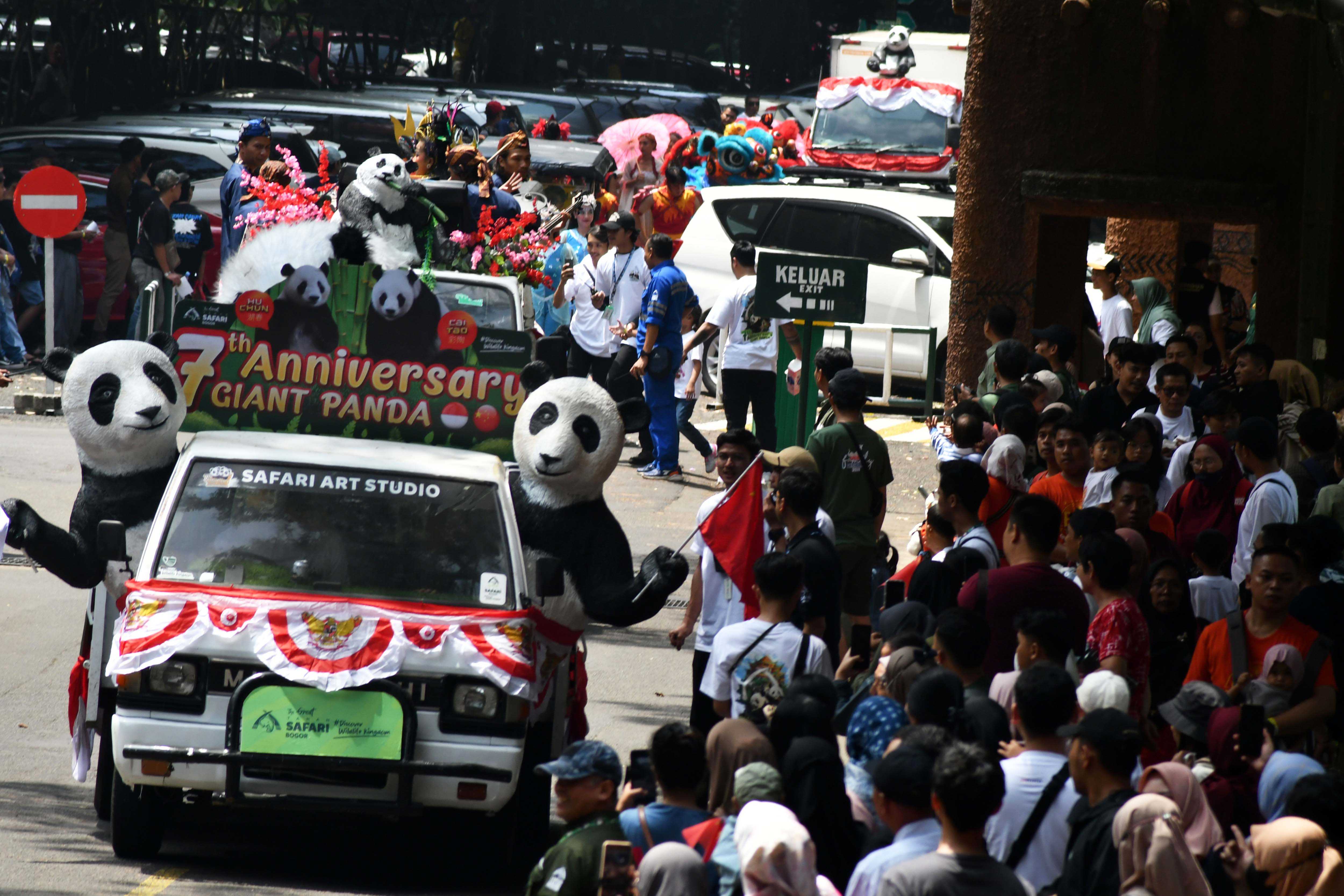 Peringatan Tujuh Tahun Kedatangan Panda di TSI