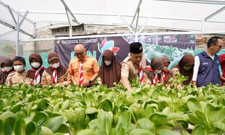 Peringati Hari Pramuka ke-61, PLN dan Kelompok Tani Ampar Adhum Kenalkan Electrifying Agriculture 