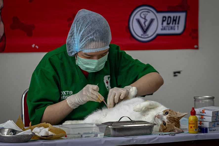 Peringati Hari Rabies Sedunia di Semarang