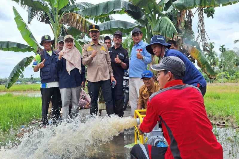 Perkuat Ketahanan Pangan, 1.003 Pompa Tersalurkan di Riau untuk Perluasan Areal Tanam