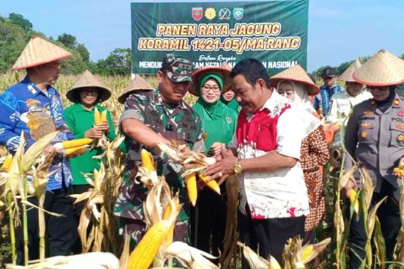 Perkuat Ketahanan Pangan, Dandim 1421/Pangkep Panen Raya Jagung Bersama Kelompok Tani