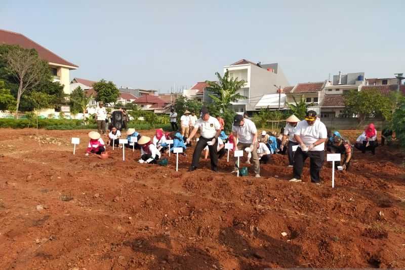 Perkuat Ketahanan Pangan, Jakbar Tanam Jagung dan Labu Air di Lahan Urban Farming Kalideres