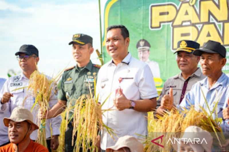 Perkuat Ketahanan Pangan, Wali Kota Banjarbaru Tekankan Lahan Pertanian di Cempaka Tak Berkurang