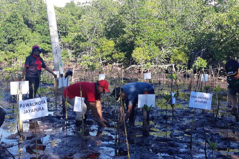 Perkuat Pelestarian Lingkungan, Pemkot Jayapura Tanam Mangrove Jelang Hari Lingkungan Hidup Sedunia