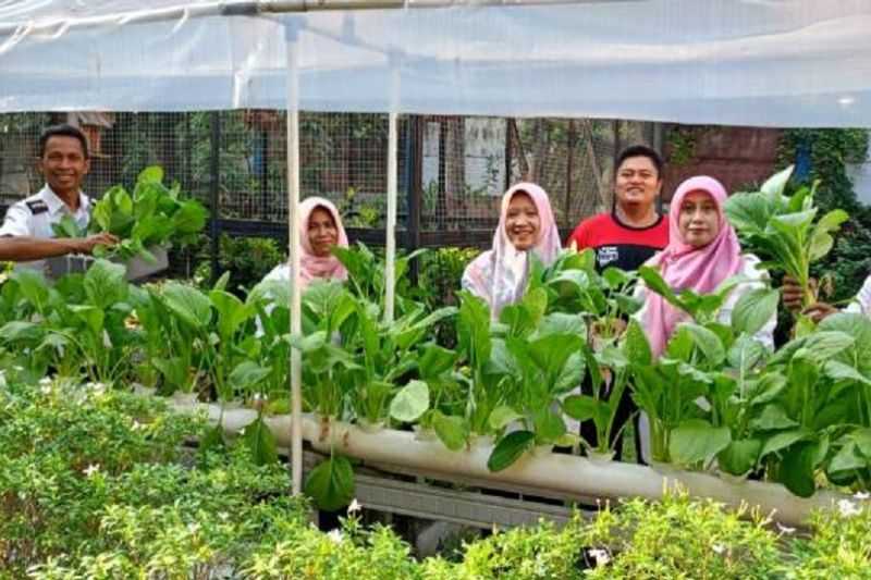 Perlu Digalakkan, Urban Farming Dapat Kurangi Jejak Karbon Transportasi