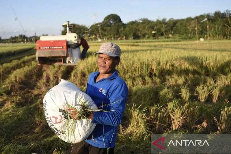 Pertanian Tak Berkelanjutan Hambat Petani Beradaptasi dengan Perubahan Iklim