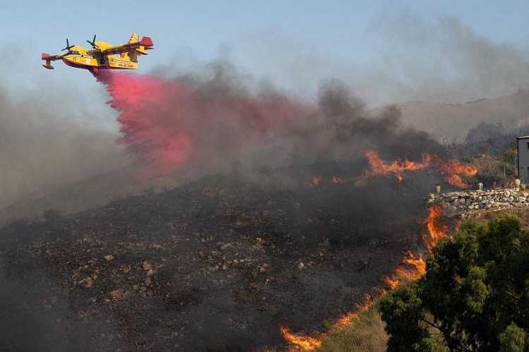 Perubahan Iklim Tingkatkan Risiko Kebakaran Hutan Ekstrem Sebesar 25 Persen