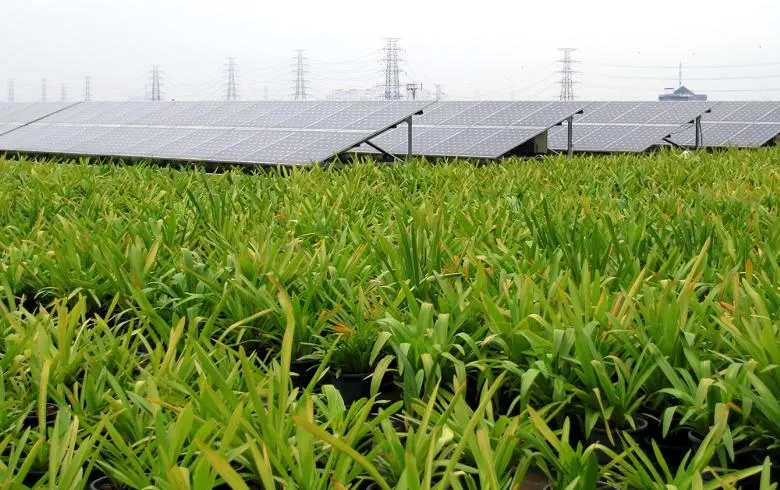 Perusahaan Energi India Menangkan Proyek Surya 1,4 GW