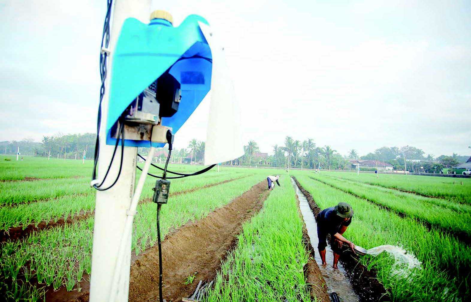 PETANI GUNAKAN ENERGI LISTRIK UNTUK MENGAIRI SAWAH YANG KEKERINGAN