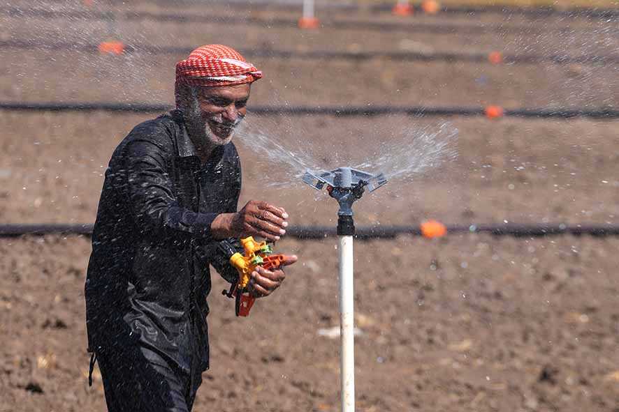 Petani Irak Berinovasi demi Selamatkan Produksi Beras Dalam Negeri