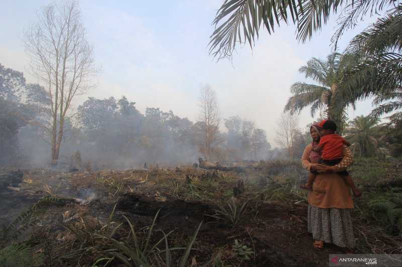 Petugas Berupaya Padamkan Larhutla di Bengkalis