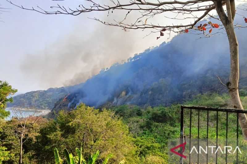 Petugas gabungan berupaya padamkan kebakaran hutan di Puncak Habibie